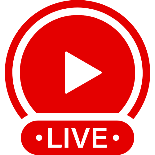 Twerk On Didlo | Live Webcam Shows & Interactive Adult Entertainment